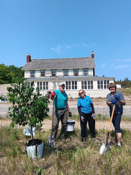 Planting Trees in Glen Haven